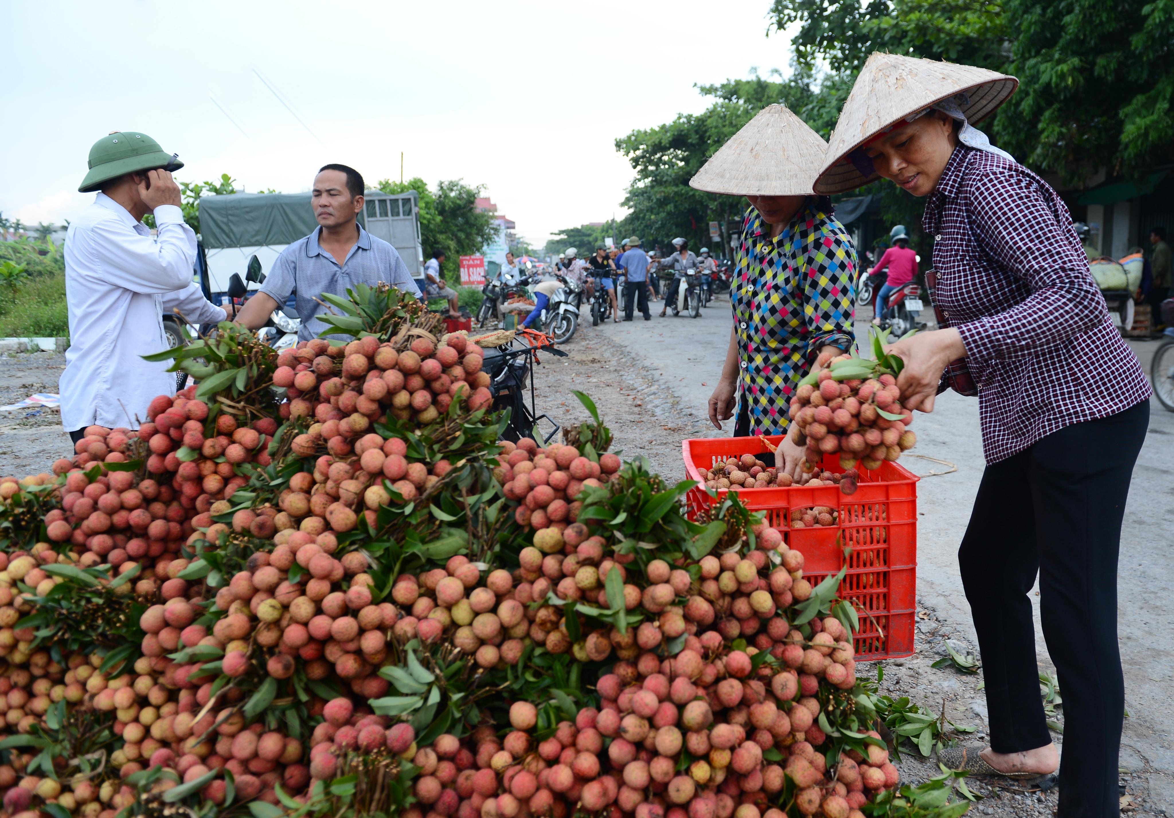 Cần coi trọng việc đăng ký bảo hộ chỉ dẫn địa lý cho nông sản đặc sản